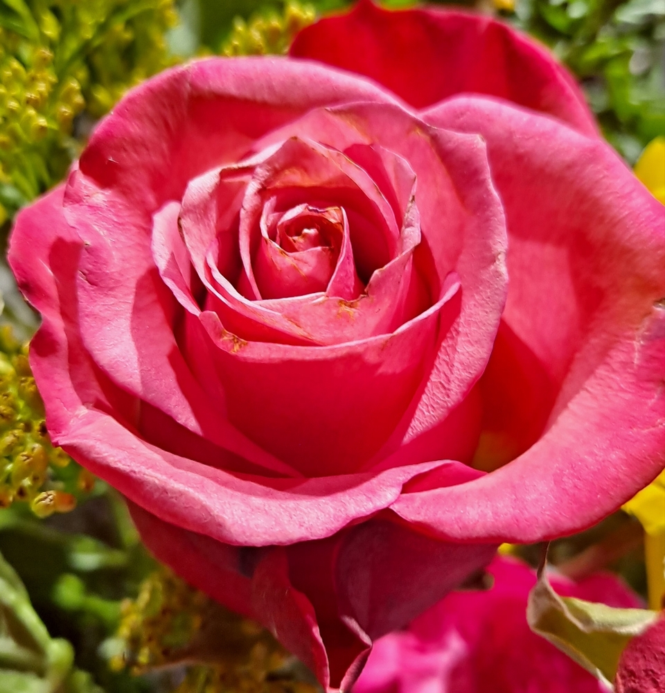 Listing Created For A Live Show